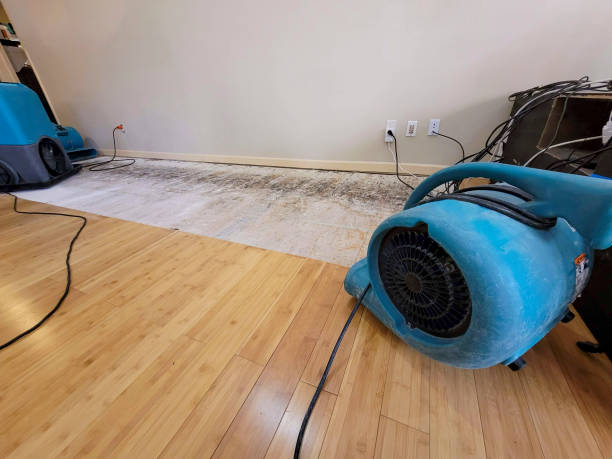 Professional Structural Drying technician working in Sioux Center, IA